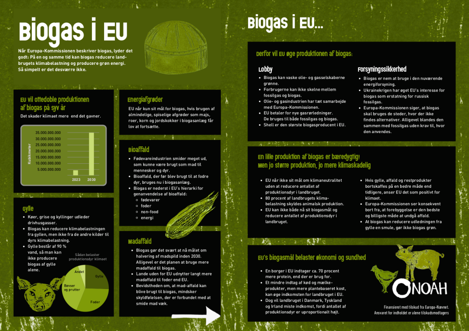 Infografik om biogas