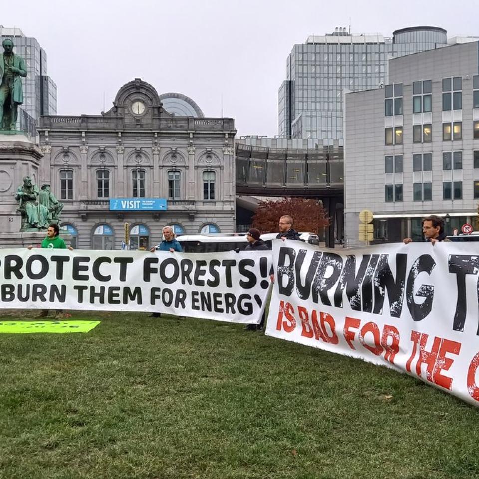 EU should protect the forests