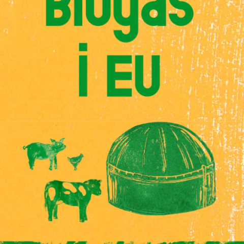 Biogas i EU